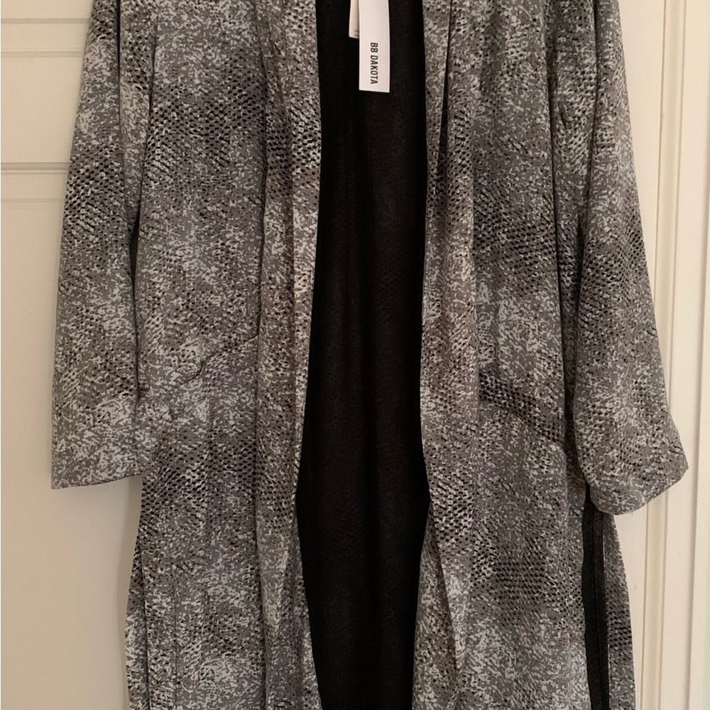 Spring Coat - Picture 2 of 6